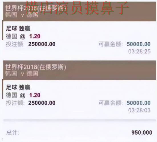 解析世界杯投注平台合集：从访问方式到直播观看全流程解析 - 世界杯高清直播